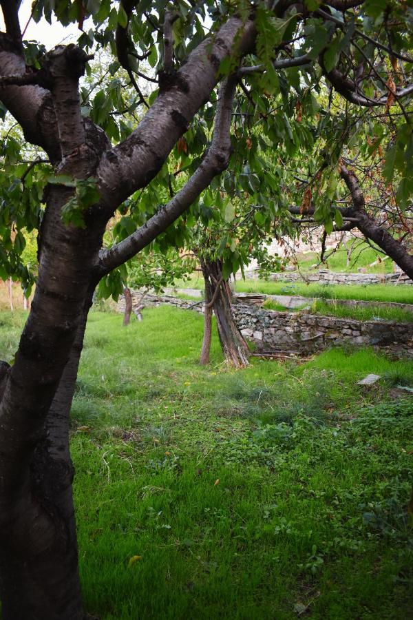 Mikros Prinos Lila'S Guest House מראה חיצוני תמונה