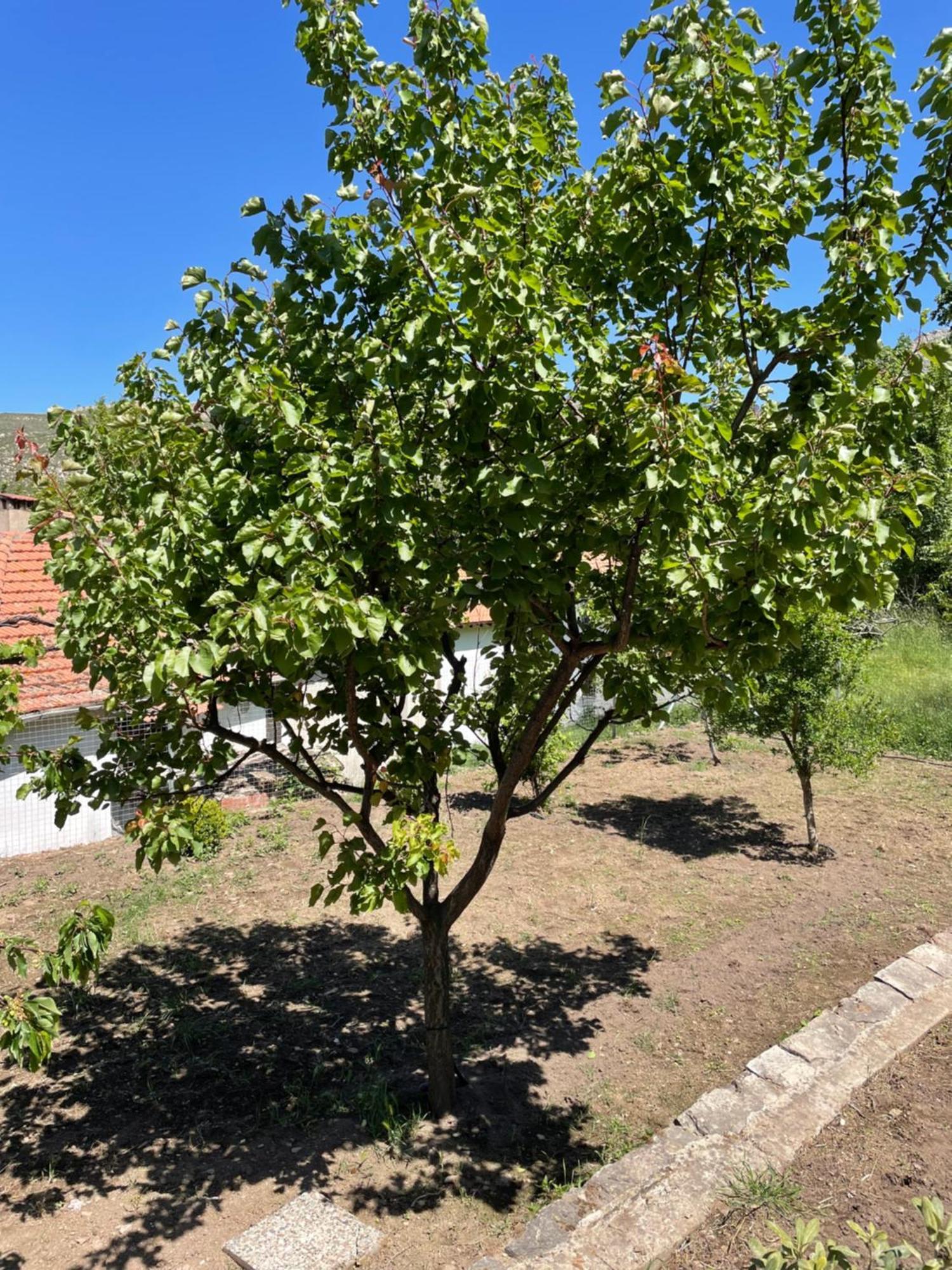 Mikros Prinos Lila'S Guest House מראה חיצוני תמונה